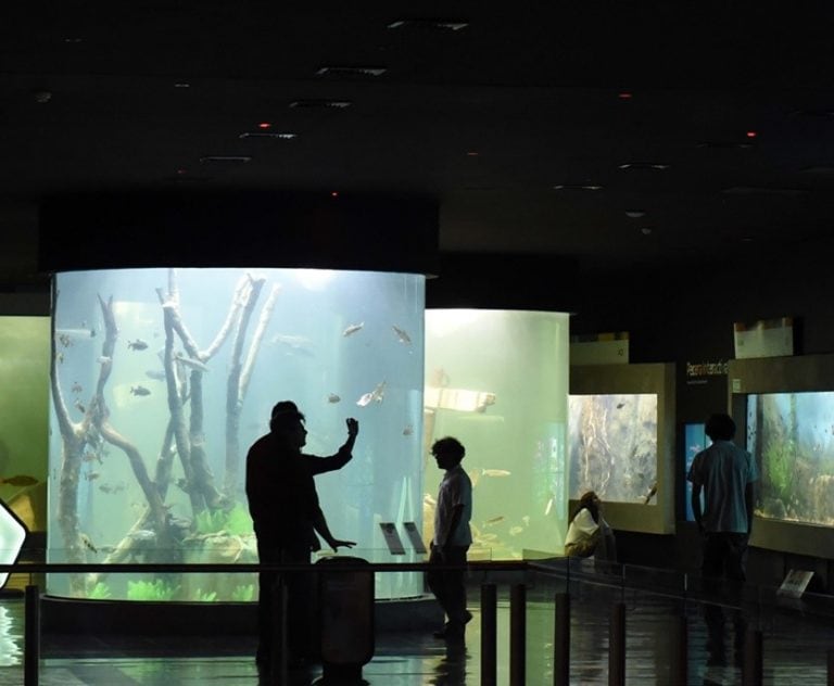 Acuario del Río Paraná. (Etur)