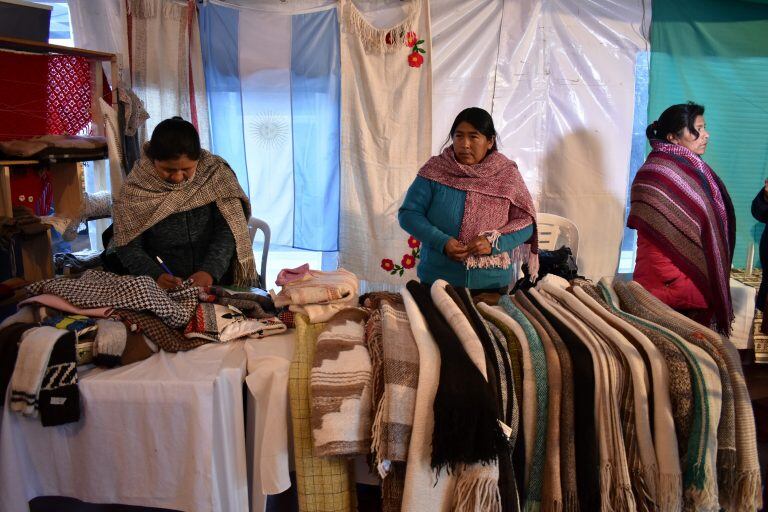 Hilanderas y tejedoras presentaron sus productos en el Congreso Internacional de Mujeres Empresarias, Emprendedoras y Profesionales, organizado por la Comisión de Mujeres Empresarias de la Unión Empresarios de Jujuy. En la provincia de Jujuy se incrementó la entrega de créditos destinados a proyectos productivos gestionados por mujeres.