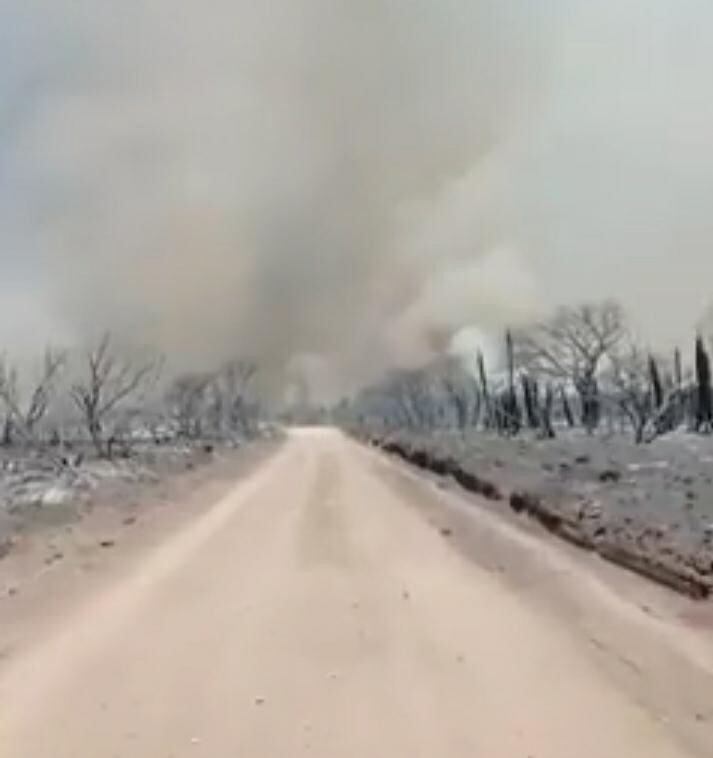 Incendios en Ambul