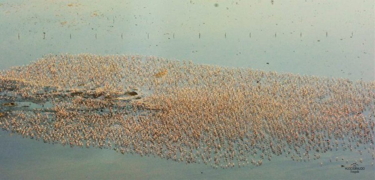 El clima en Ansenuza amaneció inestable y fresco