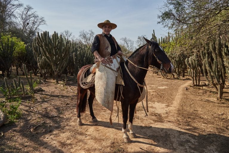 Chaqueño Palavecino