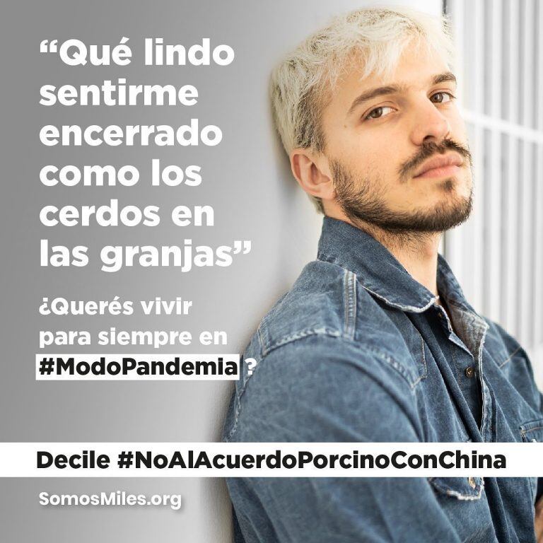 #ModoPandemia: la iniciativa que busca frenar el acuerdo porcino con China que promueven los famosos (Foto: Instagram @somosmilesorg)