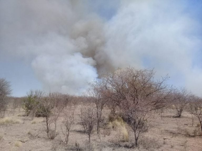 El incendio de magnitud se desarolla en la zona de Salsacate.