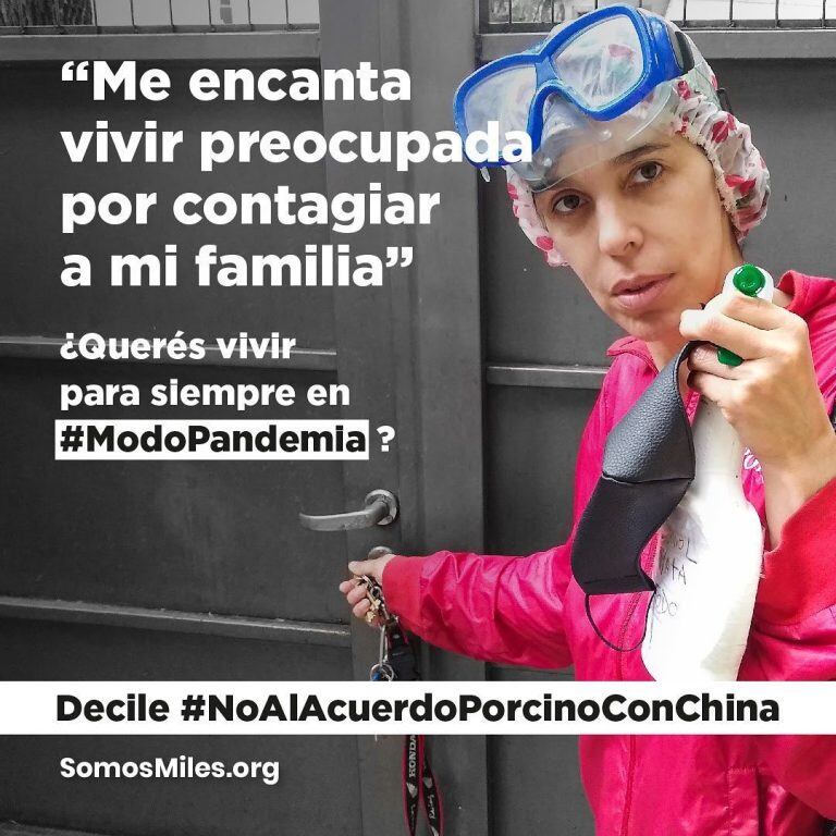 #ModoPandemia: la iniciativa que busca frenar el acuerdo porcino con China que promueven los famosos (Foto: Instagram @somosmilesorg)