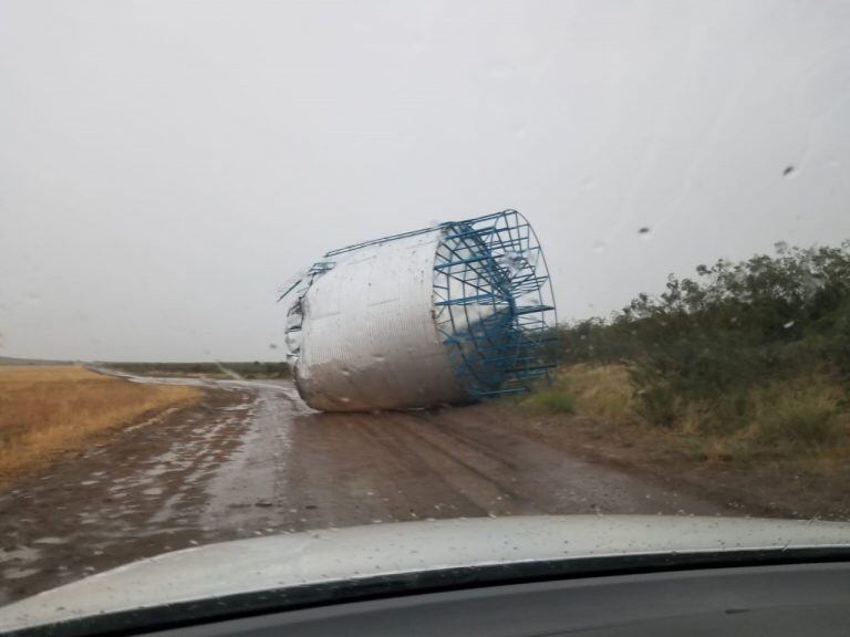 Un temporal azotó a Patagones y dejó varios árboles caídos en la zona