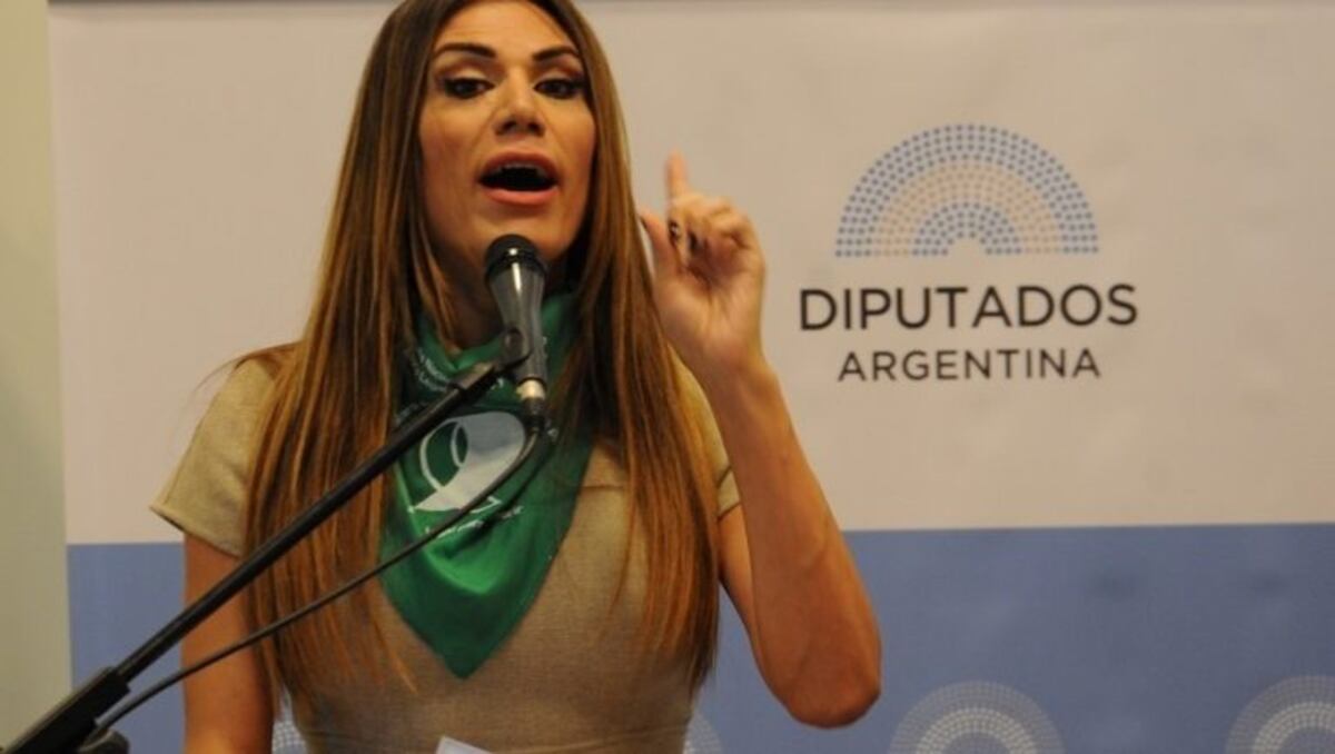 Debate por la despenalización del aborto: El contundente reclamo de Flor de la V en Diputados