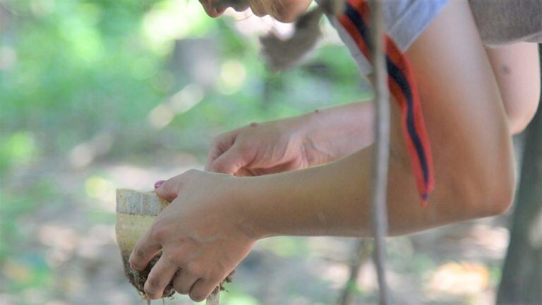 Cualquier recipiente, cuenco u objeto de paredes rígidas que acumule agua a la intemperie, es propicio para que el mosquito deposite sus larvas, que podrán sobrevivir hasta un año, aún cuando el agua se evapore.