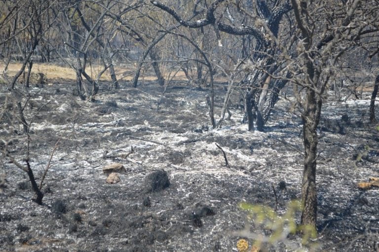 Incendio en el camino de Los Artesanos