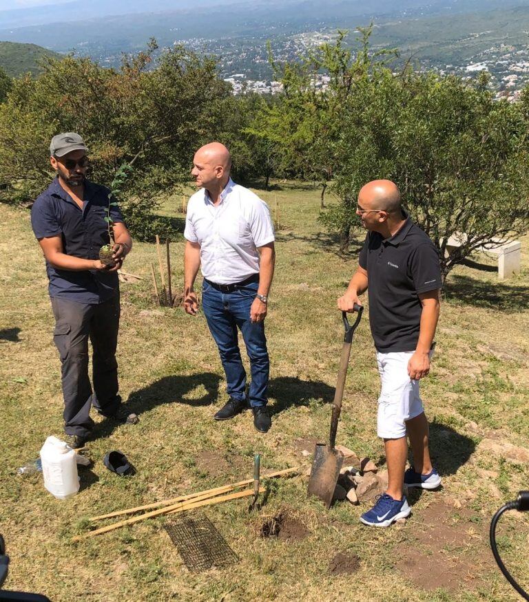 Reforestación en el Cerro de la Cruz