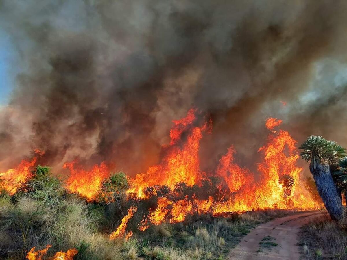 Incendios en Córdoba: un foco sigue activo en Traslasierra y esperan por las lluvias