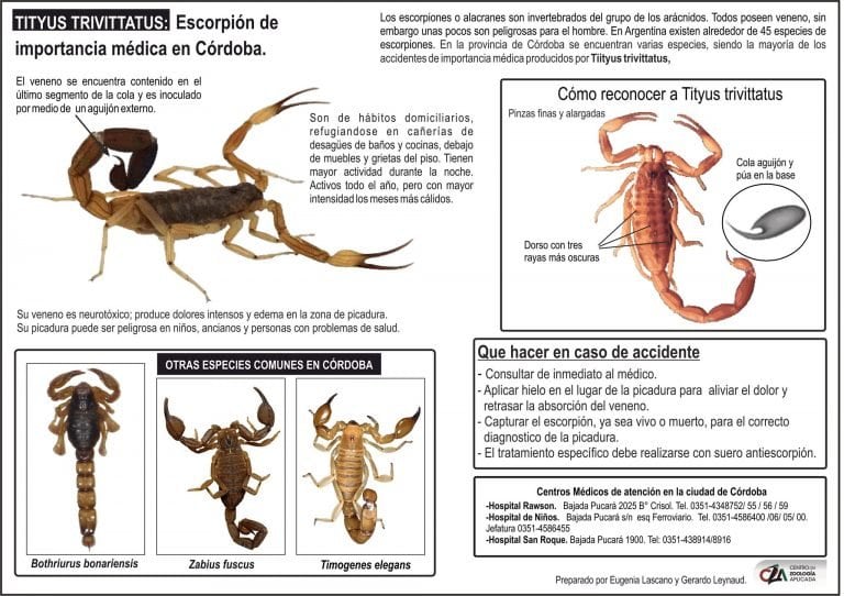 Gráfico alacranes