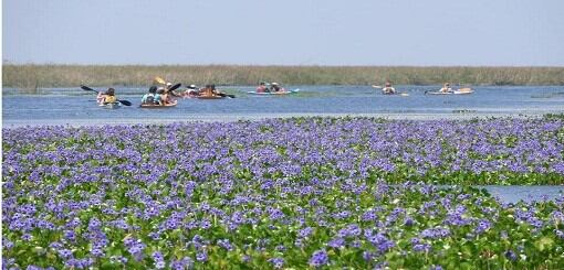 Corrientes es la primera provincia en habilitar el turismo.