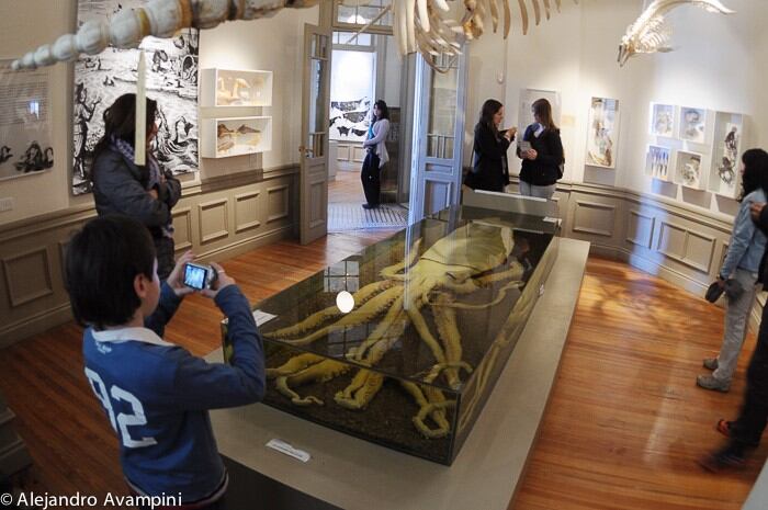 Museo del ''Hombre y el Mar'' en Puerto Madryn (Foto: Del Nómade Eco Hotel).