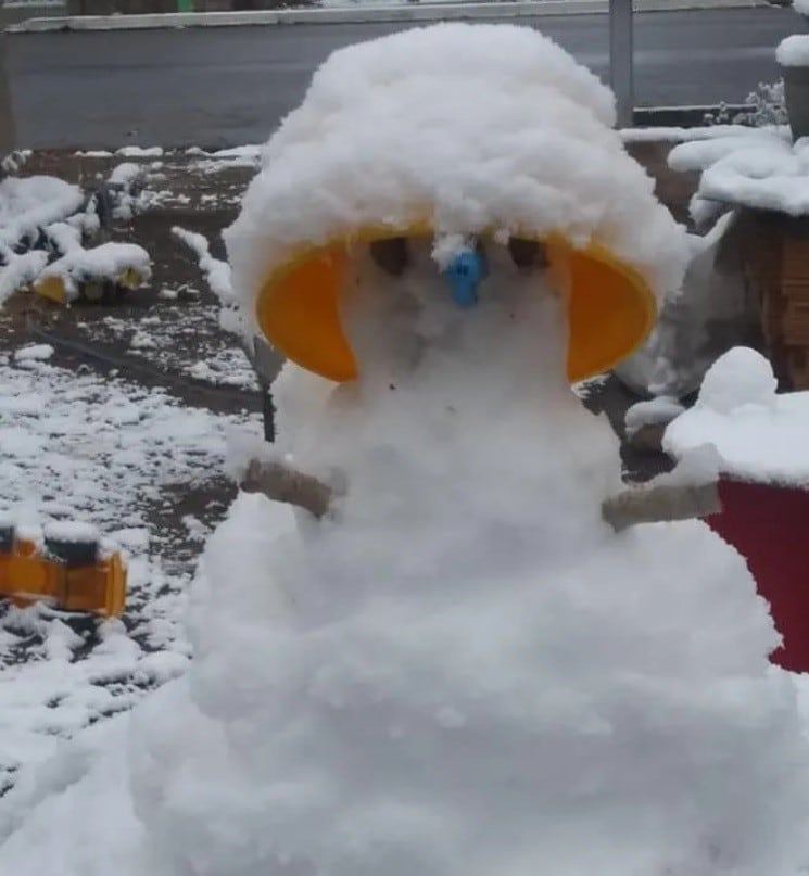 La nieve sorprendió a los habitantes de la zona cordillerana y precordillerana.