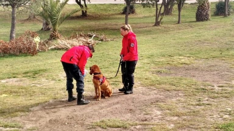 K9 de Punta Alta