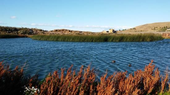 El Calafate - Laguna Nimez