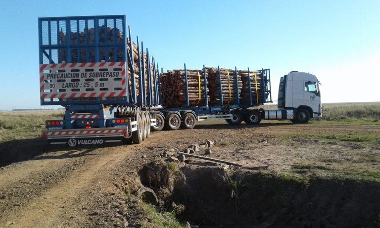 Habilitaron la circulación de bitrenes en Corrientes