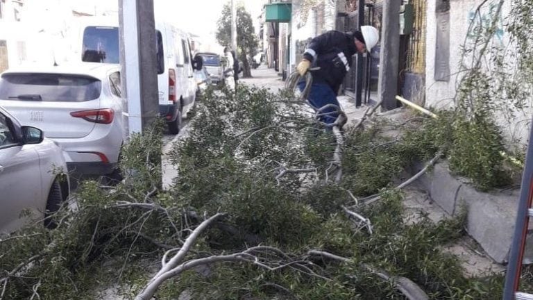 La municipalidad comenzó con las tareas en Bariloche (web).