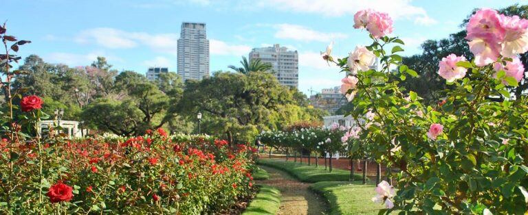 Rosedal de Palermo. (Web)