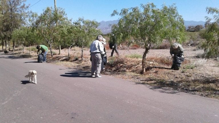 En total, los vecinos juntaron 150 bolsas de basura.