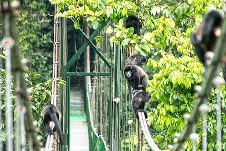 Ecoturismo en Costa Rica