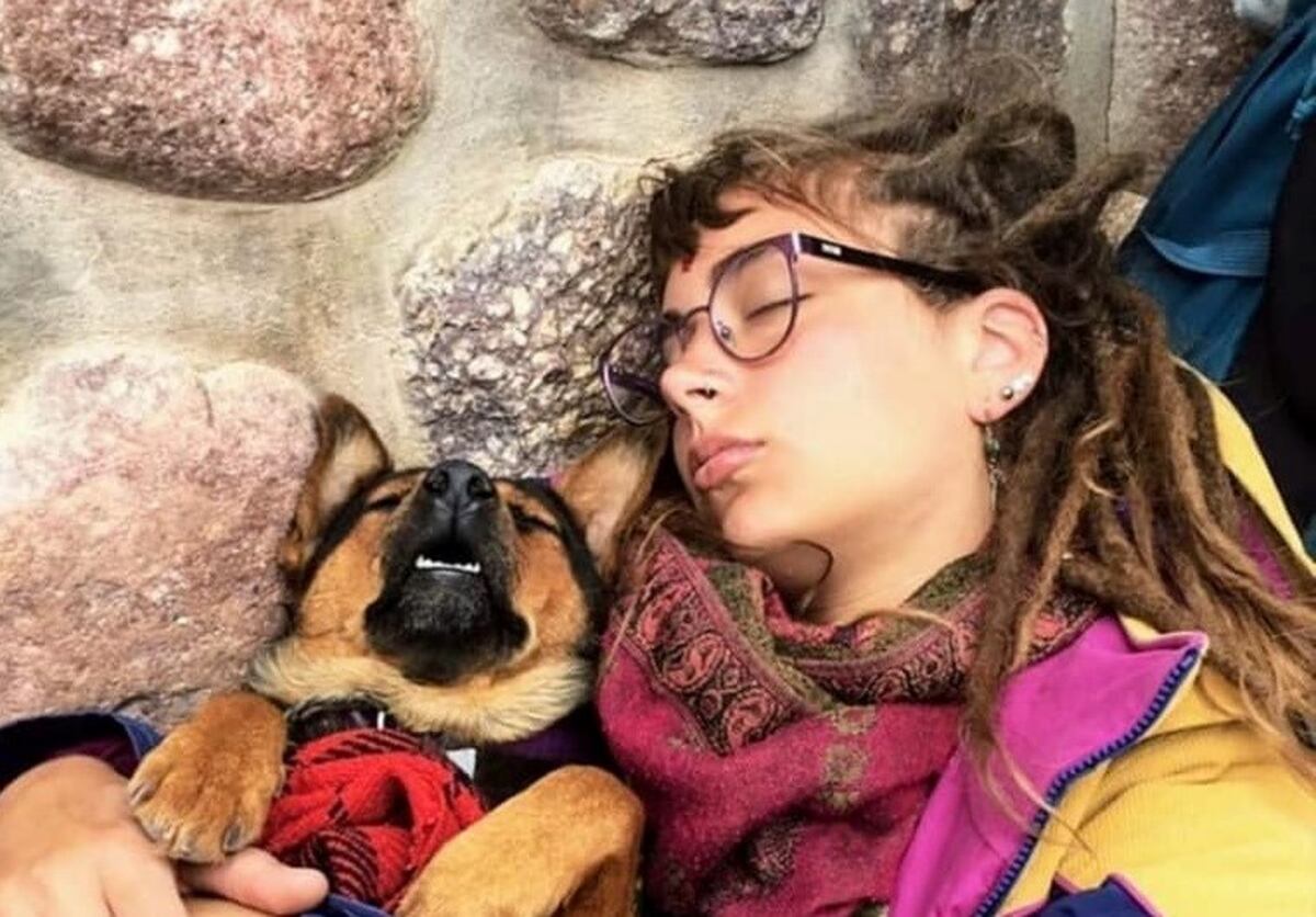La historia de la perrita que quedó varada en Salta tuvo un final feliz