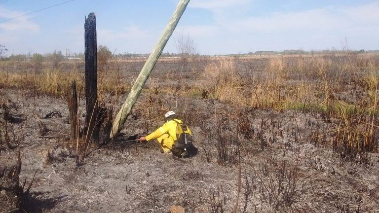 La noble tarea de los Bomberos Voluntarios de Ceibas.
Crédito: Bomberos Ceibas