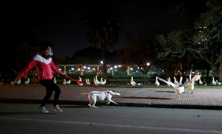 (Foto: REUTERS/Agustin Marcarian)