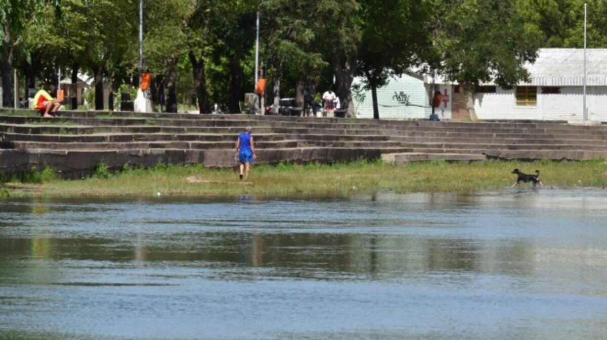 Se podrá ver la contaminación en tiempo real