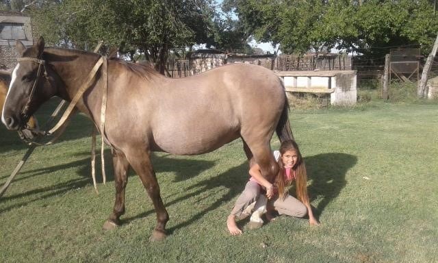 Victoria Rovetto, con 12 años, es amansadora de caballos en General Cabrera, Córdoba, y su técnica es furor en cada encuentro de animales de este tipo en el interior.