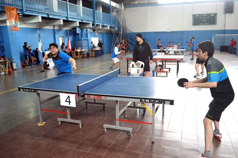 Tenis de mesa, Tierra del Fuego