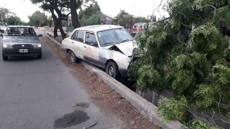 El conductor, afortunadamente, sufrió heridas leves.