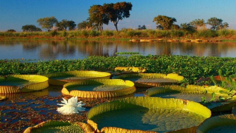 El Parque Nacional Islas del Paraná todavía no está abierto a los visitantes. (Archivo)