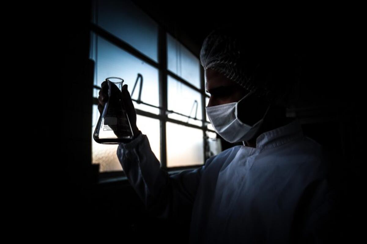 Coronavirus en Argentina: 241 muertes y 10.332 nuevos contagios en las últimas horas