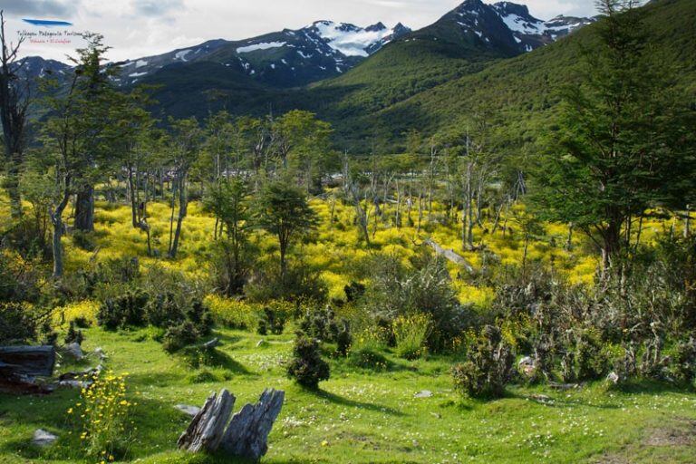 Parque Nacional Tierra del Fuego