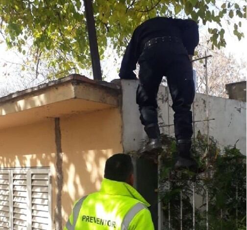 Preventores en plena acción para rescatar a los perros abandonados.