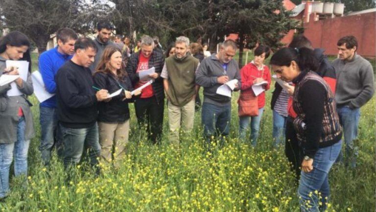 Los participantes del taller, en la salida a campo (Gobierno de La Pampa)