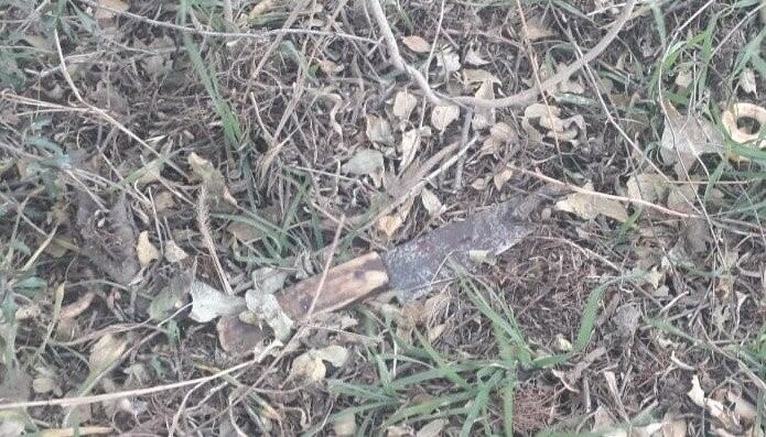 Protección de la Fauna y de tenencia de arma blanca. Foto: Policía de San Luis.