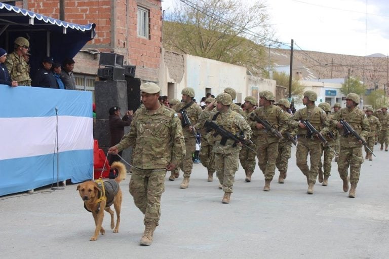 Cabo, el perro montañés. (Ejército Argentino)