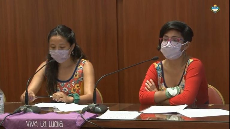 Organizaciones del colectivo de mujeres, diversidades y disidencias que trabajan con la temática de violencia de género participan de la reunión en la Legislatura de Jujuy.