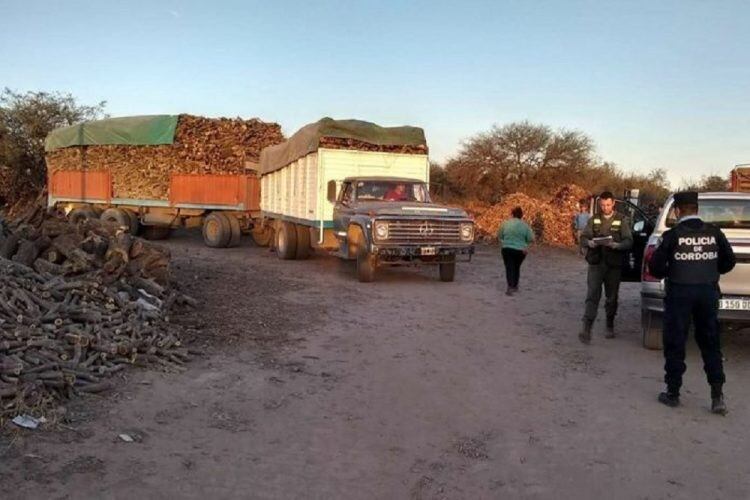 Desforestación en el norte de Córdoba (Gentileza Carlos Paz Vivo)