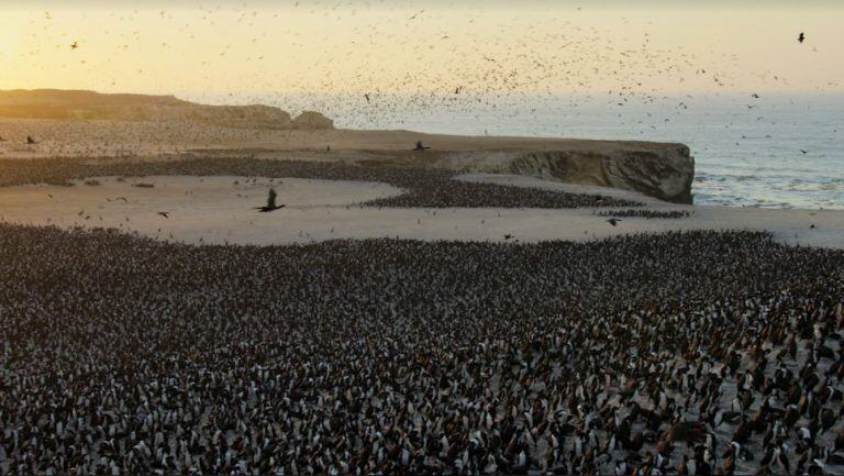 Nuestro Planeta usó como locación Paracas, en la costa de Perú (Foto: Gentileza Netflix)