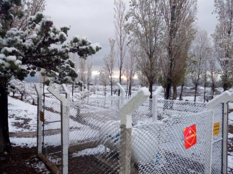 Varias zonas del departamento Iglesia, en San Juan, amanecieron nevadas.