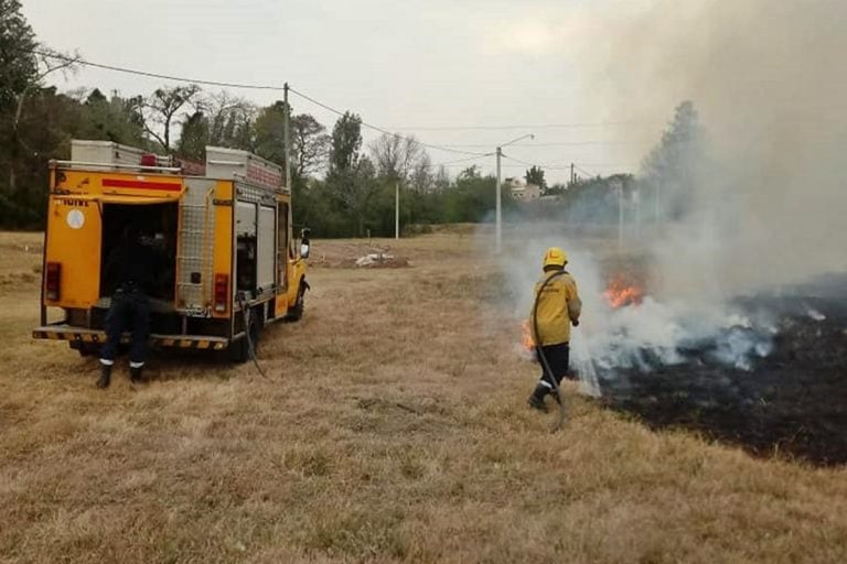 El incendio pudo ser sofocado