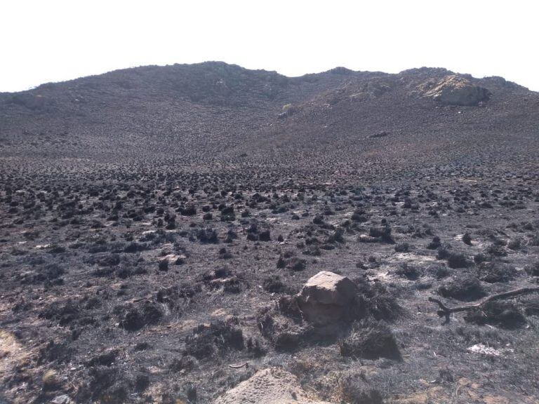 Zonas afectadas por los incendios en Córdoba (Brigada Forestal Chavascate)