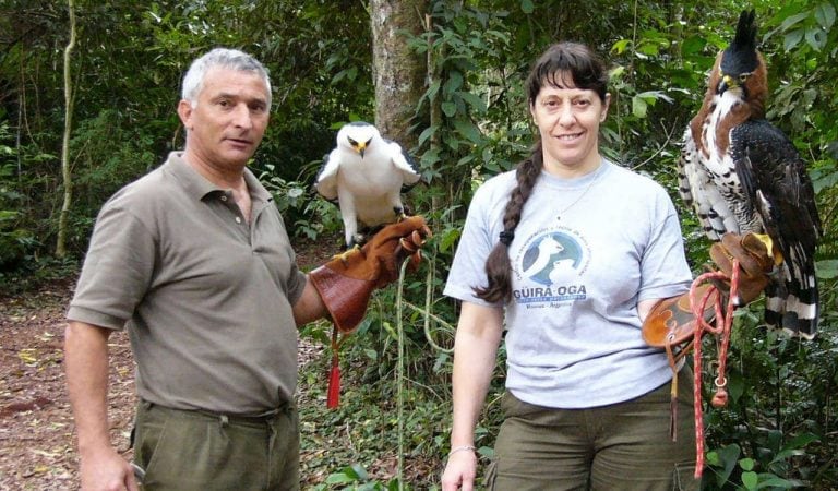 Jorge Anfuso y Silvia Elsegood, directivos y fundadores del refugio Güirá Oga en Puerto Iguazú.