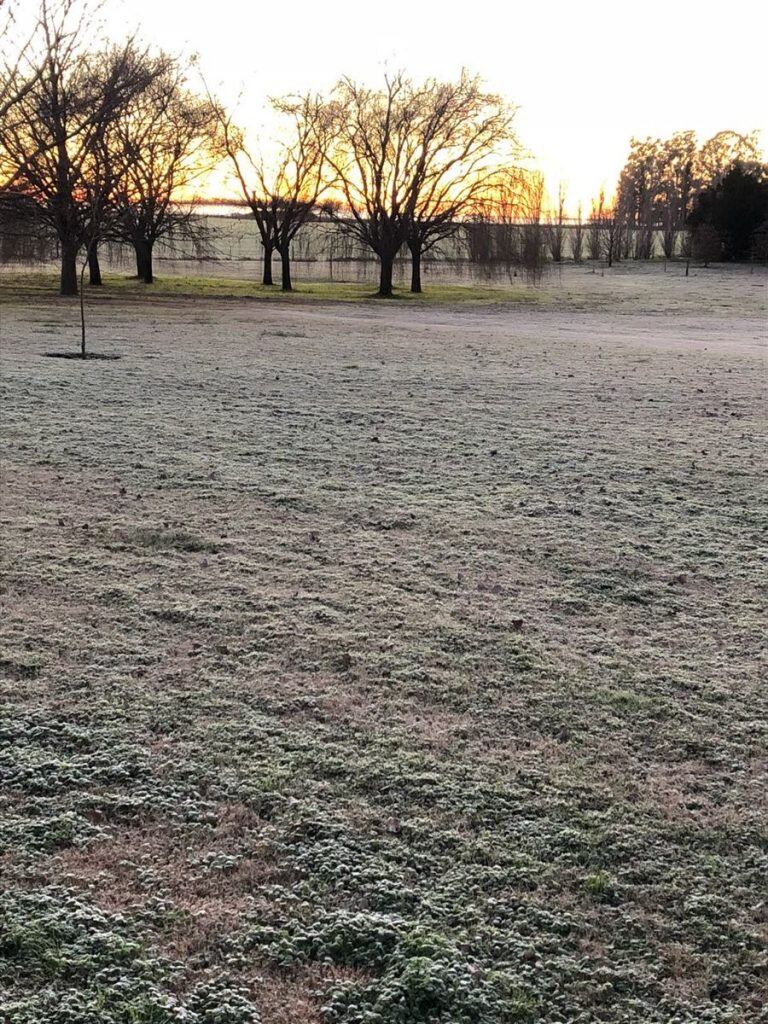 Las fotos de la helada de este martes 24 de junio en Córdoba.