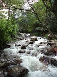 Quebrada San Lorenzo.