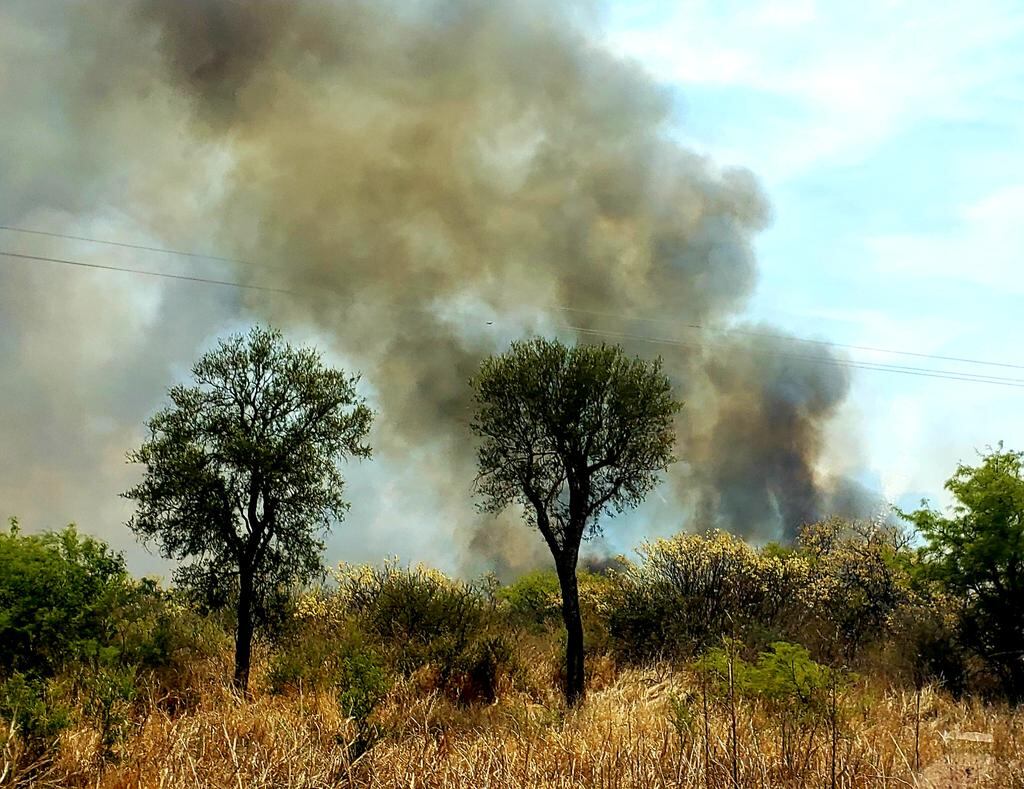 El incendio en San José de La Dormida comenzó este sábado 5 de octubre.