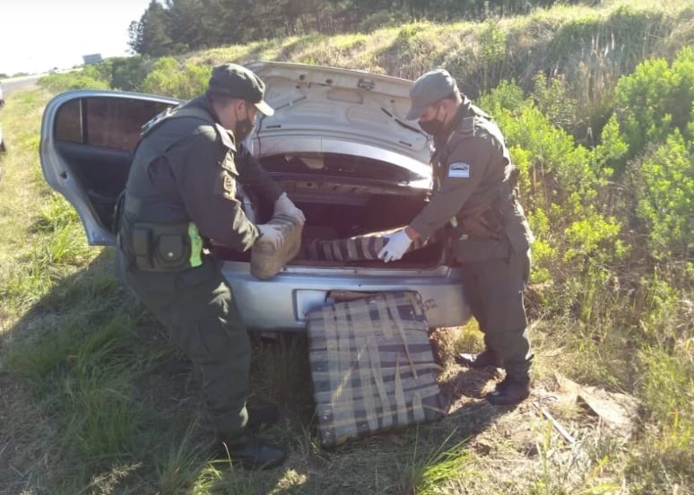 Incautan marihuana en Santa Ana.